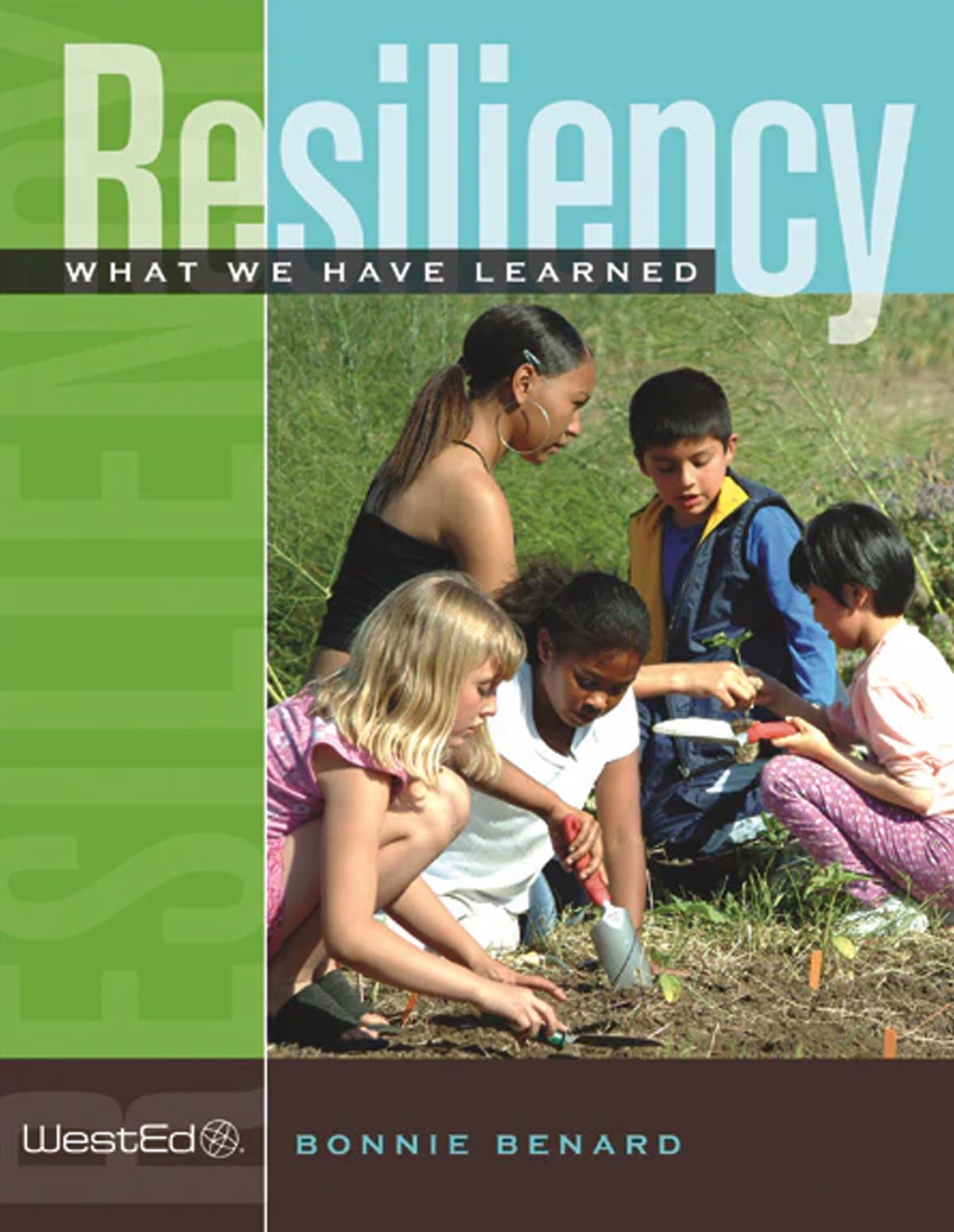 Resiliency: What We Have Learned
